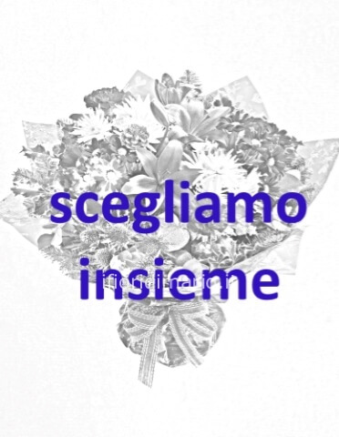 Omaggio da concordare a telefono al 3396249939